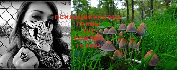 экстази Ельня