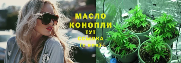 дмт Елабуга