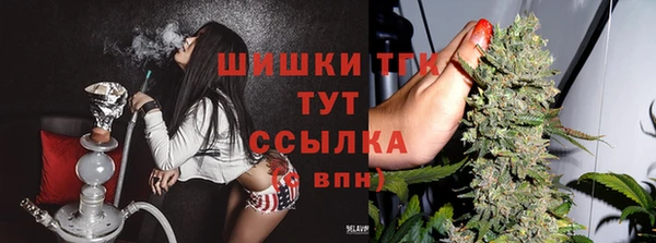 дмт Елабуга