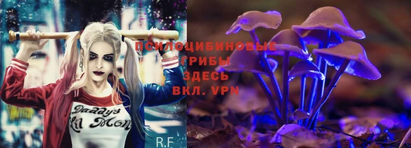 дмт Елабуга