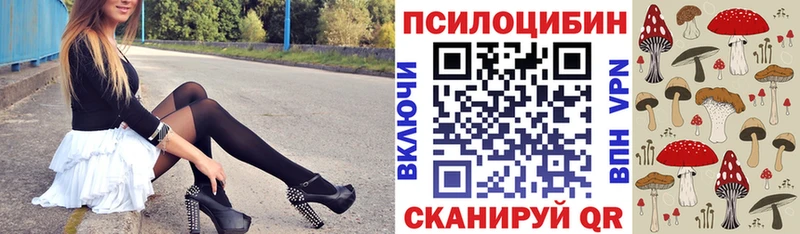 Псилоцибиновые грибы ЛСД  kraken   Джанкой  магазин продажи наркотиков 